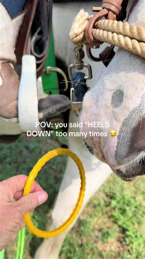 🥴 Riding a horse AINT as easy as it looks… nor is coaching yall 😂 #fyp #coach #horse #equestrian