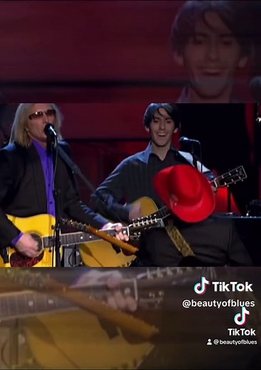 Prince Guitar Solo Concert Performance