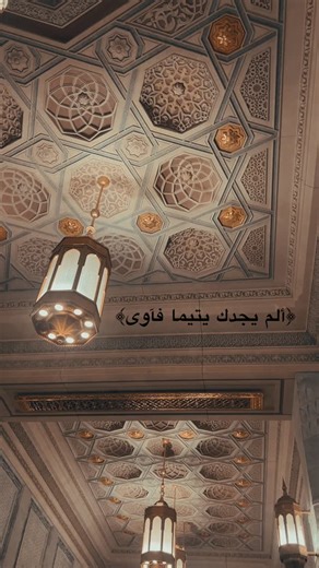 not.quite.human on Instagram‎: "﷽ 🪸🌺 #اكسبلور_explore #اكسبلور_فولو #اكسبلور_فولو #قران_كريم #قرآن"‎