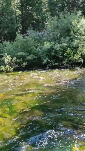Alta, Wyoming - Grand Teton National Park - Jenny Lake Trailhead 25