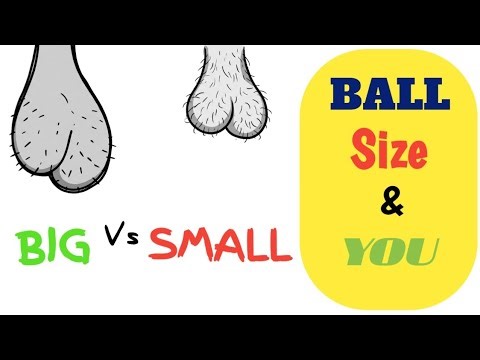 It’s Not What You Think About Your Ball Size | Shocking Science of Human Evolution