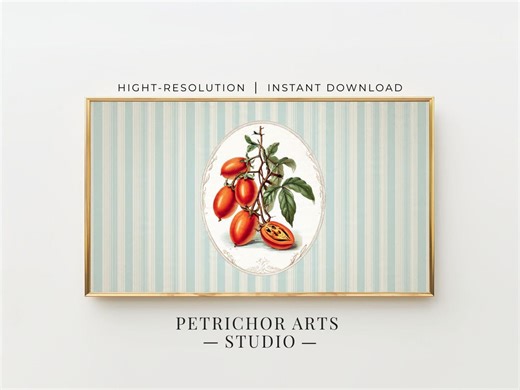 Teal Striped Tamarillo Botanical Frame TV Art 4K, Pastel Kitchen Decor, Download - Etsy