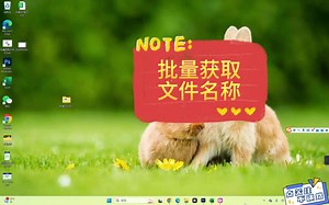 如何批量获取文件名？