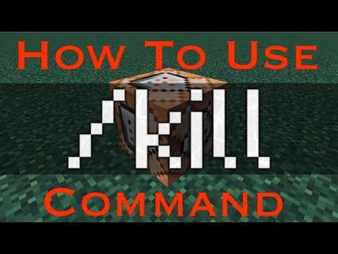 How To Use The /KILL Command!