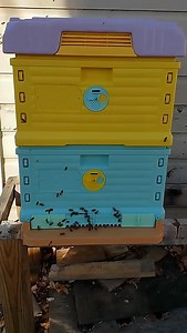 3 Layers Langstroth Bee Hive Plastic Thermo Beehive for Sale