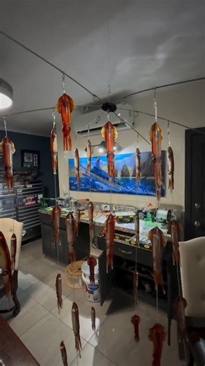 2.3K views · 29 reactions | Dredges create the classic weak buffalo at the back of the herd! That’s what they login on That’s what gets eaten and that’s what gets hooked Welcome to the bait and switch! #marlin #rightrigger #baitandswitch #cabo | Protocol Sport Fishing | Facebook