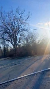 Bark | 5 years | Male | Pit Bull Mix Wow! Foster mom & I took advantage of the nice weather this weekend to do some training outside. With my people pleasing personality, my reliable recalls & leash walking is going great! We also practiced my Sit-Stay-Wait, which I think I am really getting good at! We even got to take a nice long walk on the nature trail behind the farm!! Happy to be any kind of companion for my new family since my favorite place to be is with people! To read my full bio and a