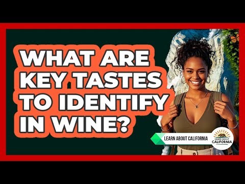 What Are Key Tastes To Identify In Wine?