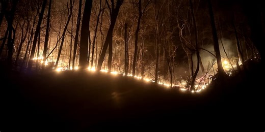 Table Rock State Park reopening following historic wildfires