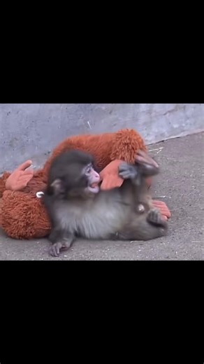 Punch#fyp #goviral #makemefamous #punch #blowup | punch