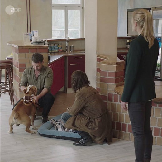 Wie viel Spaß die Schauspieler von "SOKO Potsdam" am Set hatten, seht Ihr in unserem Video. Kleiner Spoiler: Besonders ein tierischer Darsteller 🐕 sorgte für Lacher. Alle Folgen der Serie gibt's in unserer Mediathek: https://www.zdf.de/serien/soko-potsdam#xtor=CS5-53. | ZDF