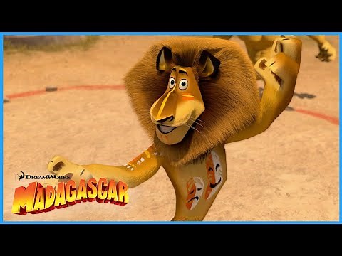 Alex Performs... 🦁🏆 | DreamWorks Madagascar