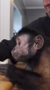 Happy 15th Birthday MonkeyBoo #monkey #birthday #celebration #fun | MonkeyBoo