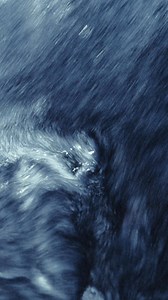 A renewed classic. The new parka reinterprets the traditional jacket, coupling vintage-effect nappa leather and cotton twill for a play of textures. Available on: loewe.cm/LEATHER_PARKA #LOEWE | LOEWE