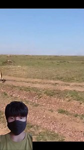 Duelo de leones #reels #virals #animals #duelo #salvaje #leon | Lobo Salvaje