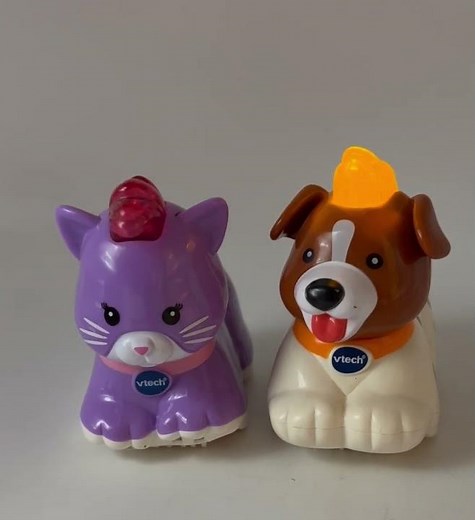 VTech Cat and Dog