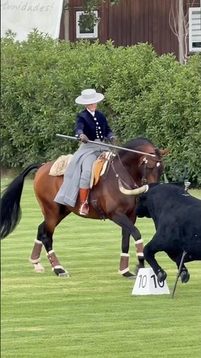 Want to try Working Equitation? 👀🐴Here’s how to start! 😂. #horseriding #equestrian
