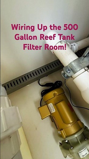 Wiring Up the 500 Gallon Reef Tank Filter Room! #mancavereef #saltwater #customaquarium #reefkeeping