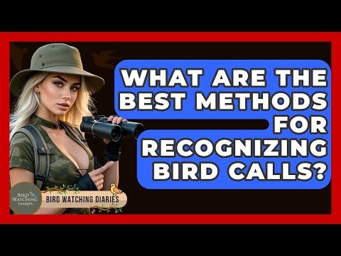 What Are The Best Methods For Recognizing Bird Calls? - Bird Watching Diaries