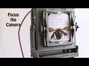 Large Format Setting the Lens