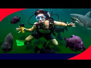 MERGULHEI COM CRIATURAS DE MAIS DE 2 METROS!