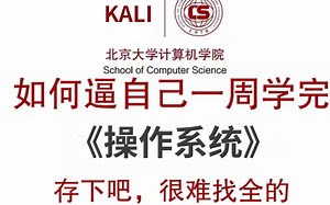 【攻防渗透之操作系统】1小时搞定计算机操作系统，2025年超详细的计算机操作系统教学从入门到进阶！
