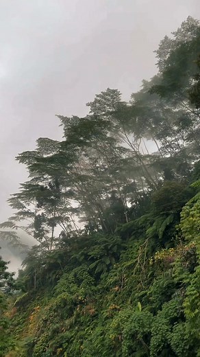 This and no stress🍃🛵⛰️ | JTP VLOG