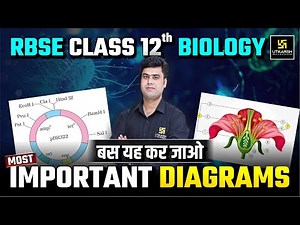 RBSE Class 12 Biology: All Important Diagrams in One Shot l Krishnakant Sir