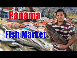 The BIGGEST FISH MARKET in Panama, Walking Tour | Fresh Seafood & Local life