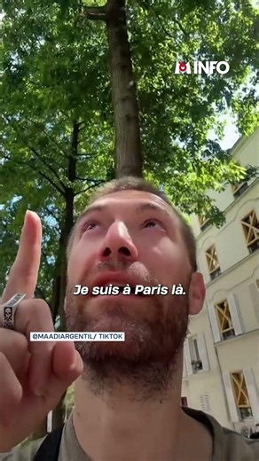 With the heatwave, cicadas arrive in Paris