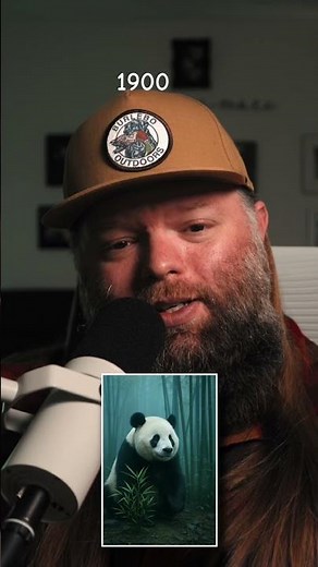 Giant Panda Wild Population Rebounds to 2,100 🐼📈