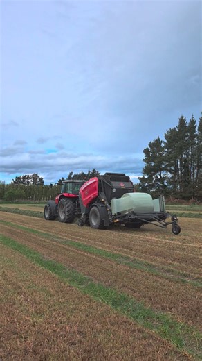 53 reactions | Grass baleage for sale. Baled today in the Lintley area. Get in touch if you're interested. #silageandbalagenz #ewllimited #balfournz #welovewhatwedo # | EWL - Silage and Baling | Facebook