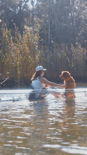 4.1K views · 52 reactions | Doggie paddles and kayak adventures on the Chaz - the perfect combination ‍♀️ Embrace the serenity of nature and the joy of exploring with your four-legged best friend. | Get Up And Go Kayaking | Facebook