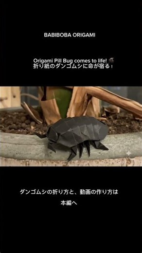 ダンゴムシの折り紙に命が宿るPart2！ Origami Pill Bug comes to life！！😂😂😂#origami #ダンゴムシ #簡単折り紙 #虫好き #虫