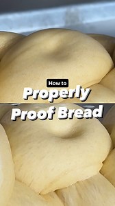 The proof is in the poking. We explain the science of properly proofed bread. Challah recipe: https://cooks.io/3NlDBeF | Cook's Illustrated