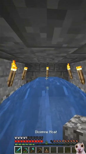 My friends will never find me here 🤫 #minecraft