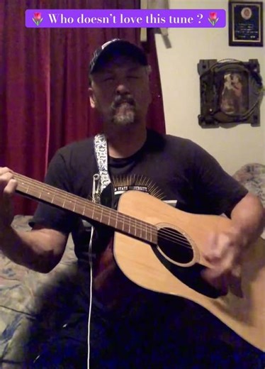 🌷 Thank You-Led Zeppelin-Cover 🌷#ledzeppelin #ledzeppelincover #jimmypage
