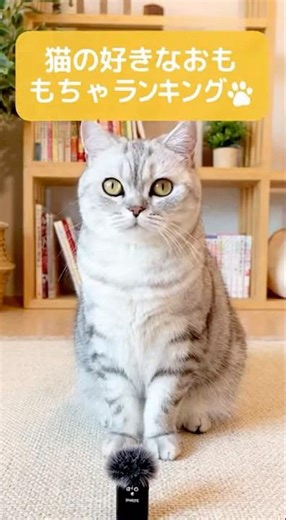 猫の好きなおもちゃランキング