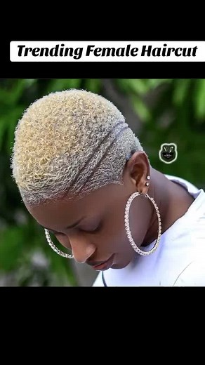 Latest Trends in Female Haircuts