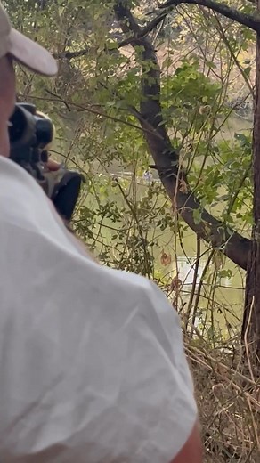 Hippo hunting in the water can be difficult because you have a very small target wich is the brain shot but our client did a very good job with his .375 H&H. Email: keenan@doornboom.com Phone: Keenan- ( 27) 078 458 3642 Website: www.doornboomhuntingsafaris.co.za #africa #huntingseason #huntingafrica #dangerousgamehunting #plainsgamehunting #huntingsouthafrica #zimbabwehunting #hippohunting | Doornboom Hunting Safaris