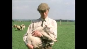 3.3K views · 29 reactions | #OnThisDay 1975: Animal Magic reminded viewers that they too can achieve their dreams, unlikely as they seem, with the story of Henry. | BBC Archive | Facebook