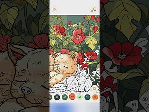 Happy Color™ by Number Experience