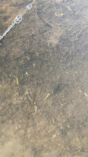 អស់សម្តភាពបបក់ហើយទេ? 🤣