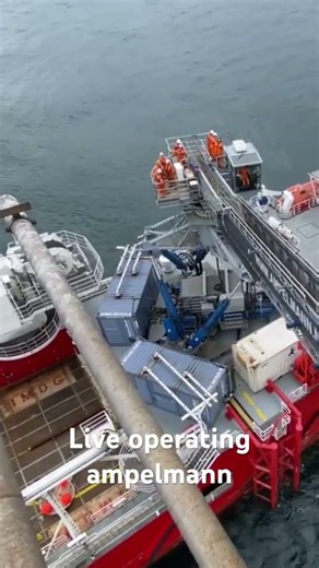 Ampelmann Gangway LIVE IN ACTION! 🚢 #shorts