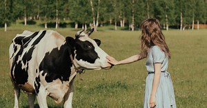 New wellness center lets guests cuddle with cows