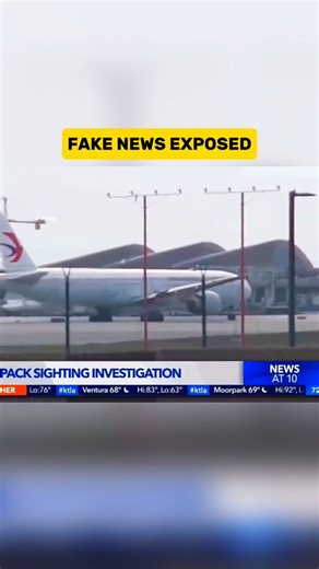 This Fake News Fooled America’s Biggest TV Channel! this viral video looks real… but it was completely fake. two guys created a sci-fi hoax just to test the media, and even a major tv news channel fell for it. this story exposes how fake news can spread faster than the truth. #fakenews #hoax #viralvideo #mediaexposed #socialexperiment fakevsreal newsmedia truthrevealed shorts | HiddenLogic