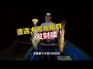 【阿牛赶海】三百五租船捕鱼，一条又一条五六公斤的黄花鱼连着上，发财的节奏