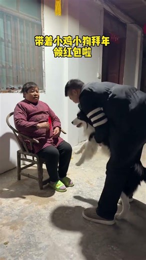 Pet's Happy New Year Wishes: Youth Creator Growth Program Showcase