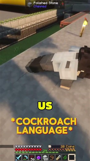 New Language Added for Cockroaches on QSMP 2 Minecraft