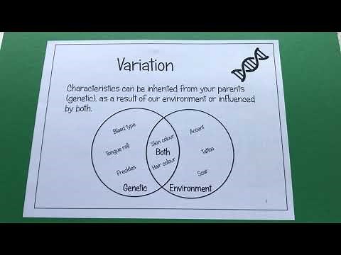 KS3 Microbes & Genetics - Inherited and environmental variation